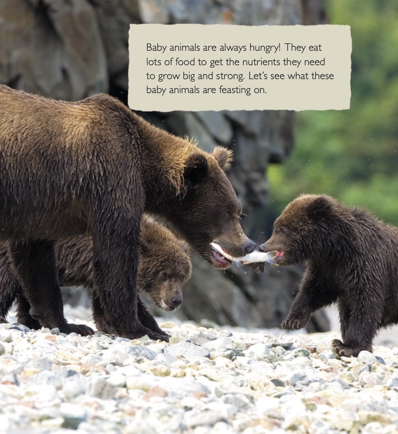 Baby Animals Eating — page 1