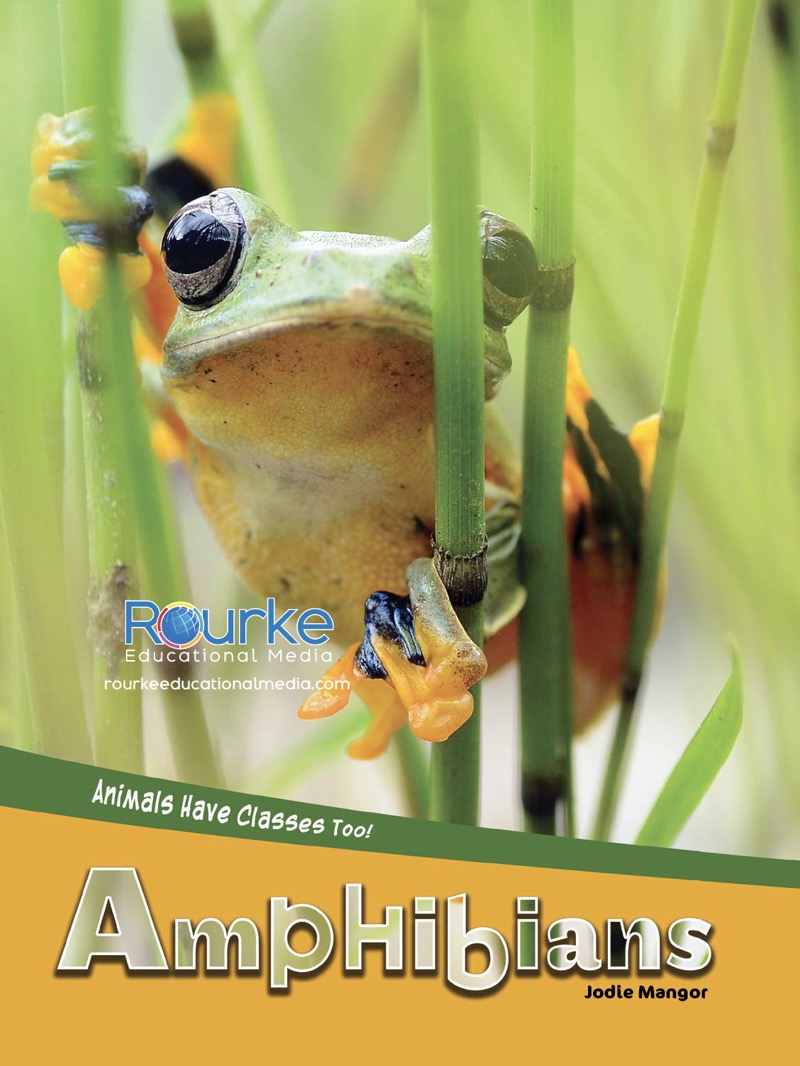 Animals Have Classes Too!: Amphibians book cover