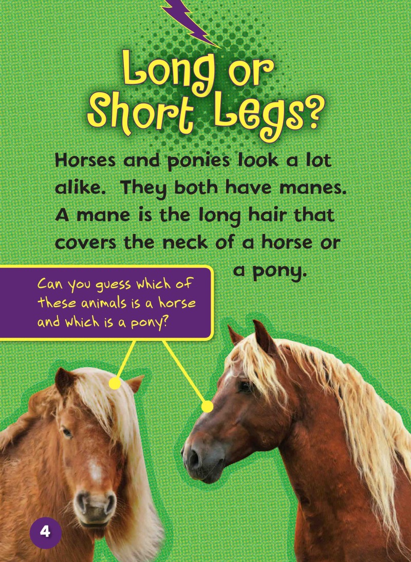 Can you Tell a Horse from a Pony? — page 1