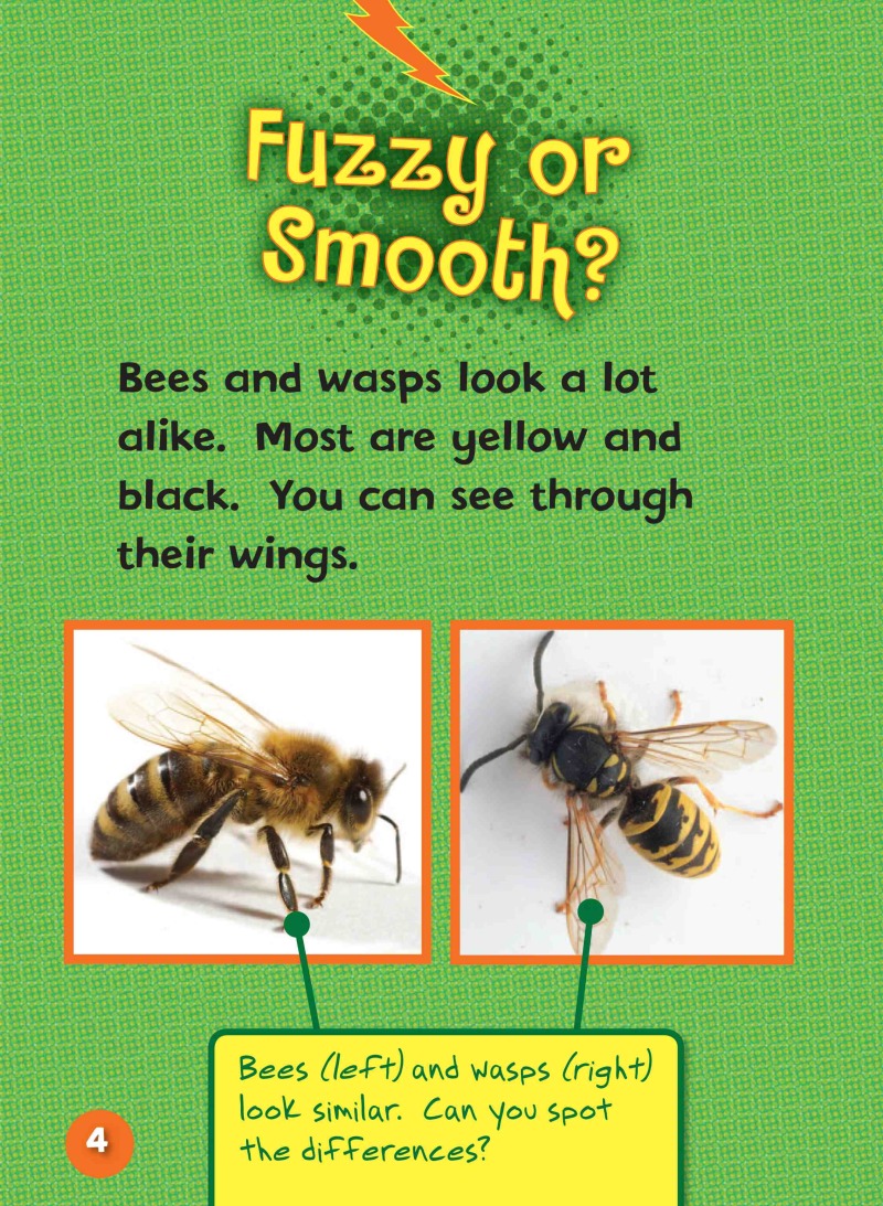 Can You Tell a Bee from a Wasp? — page 1