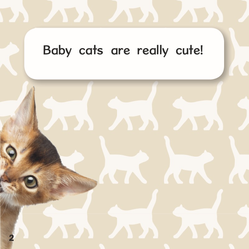 Crazy About Kittens — page 1