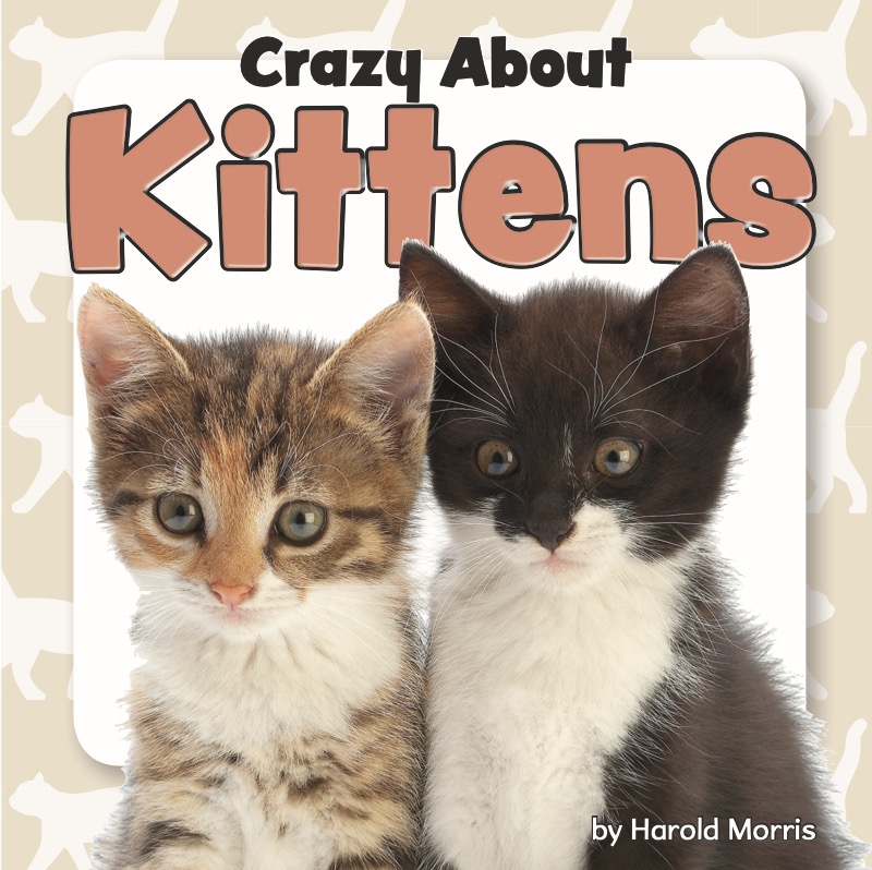 Crazy About Kittens book cover