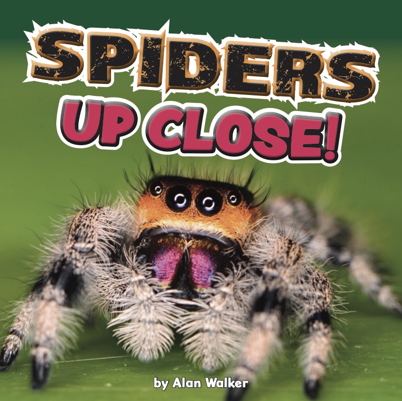 Spiders Up Close book cover