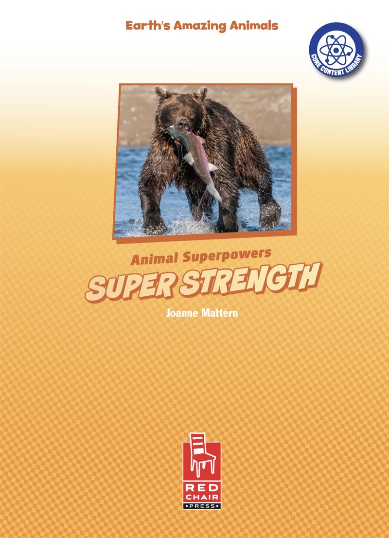 Super Strength book cover