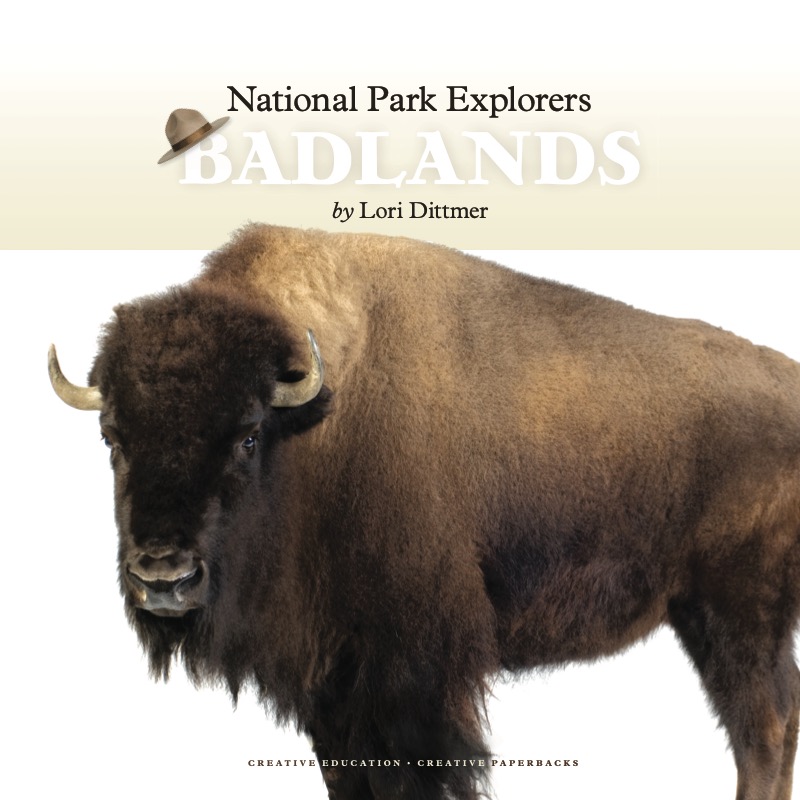 National Park Explorers: Badlands book cover
