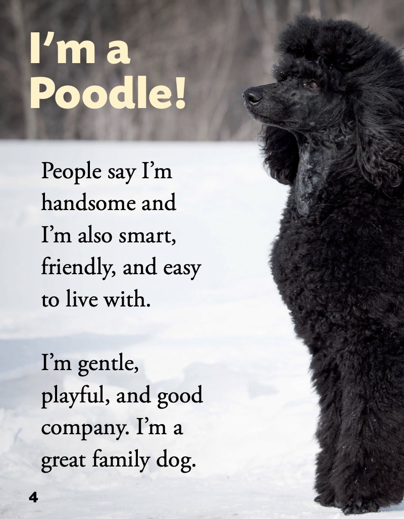 Poodle — page 1