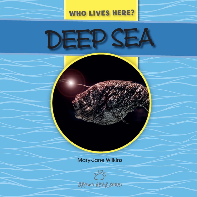 Deep Sea book cover