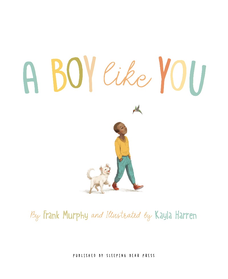 A Boy Like You book cover