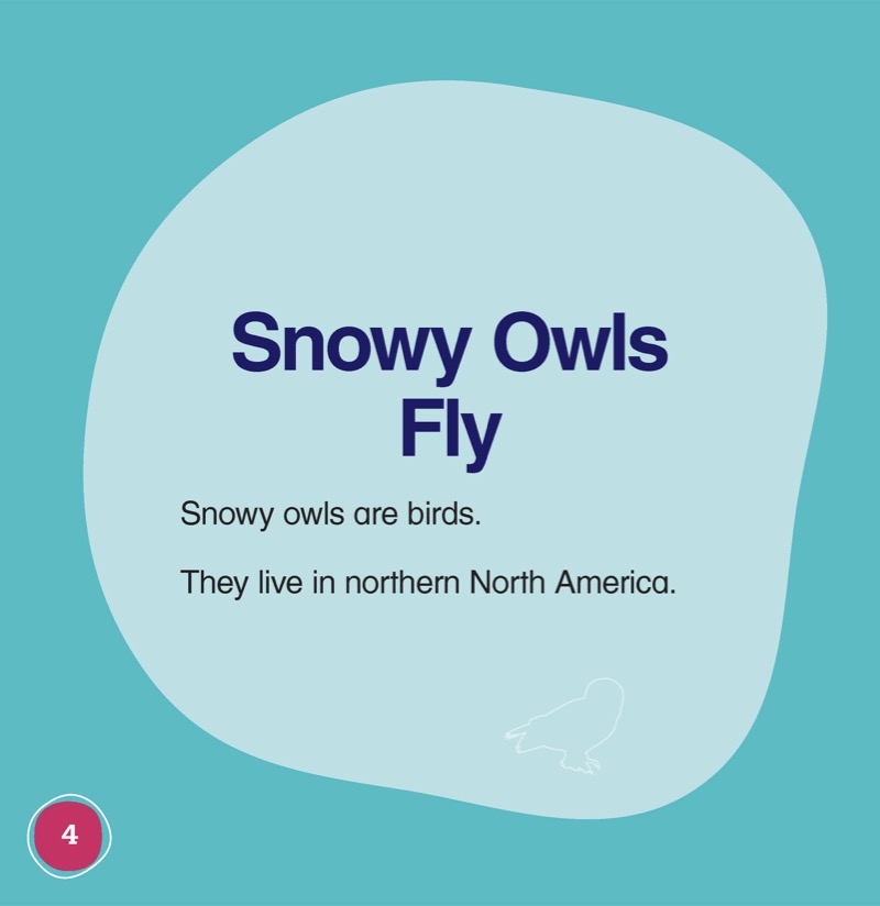 It's a Snowy Owl! — page 1