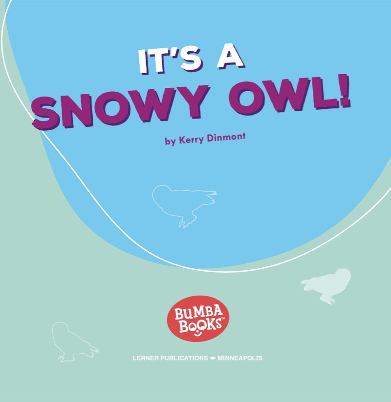 It's a Snowy Owl! book cover