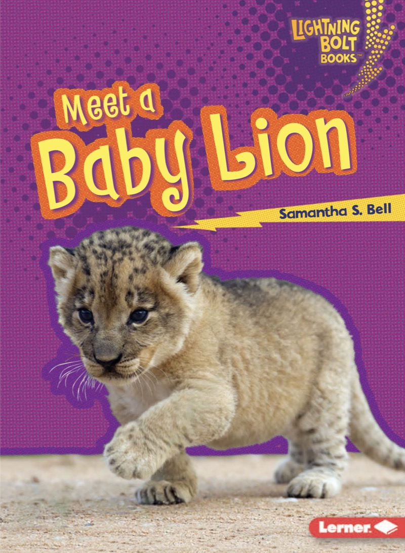 Meet a Baby Lion book cover