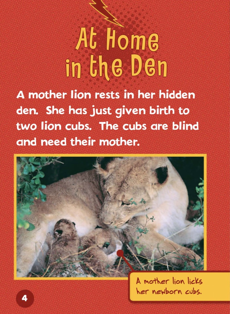 Meet a Baby Lion — page 1