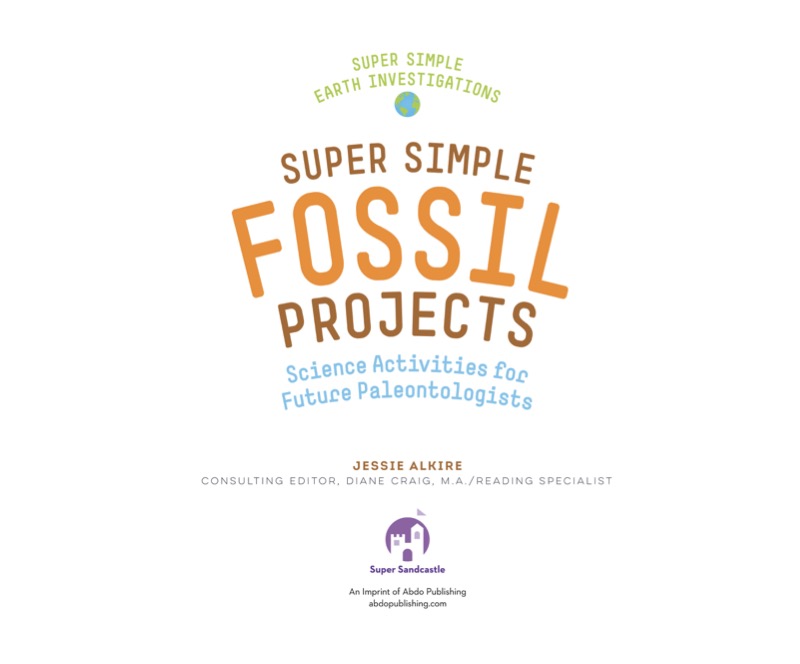 Super Simple Fossil Projects: Science Activities for Future Paleontologists book cover