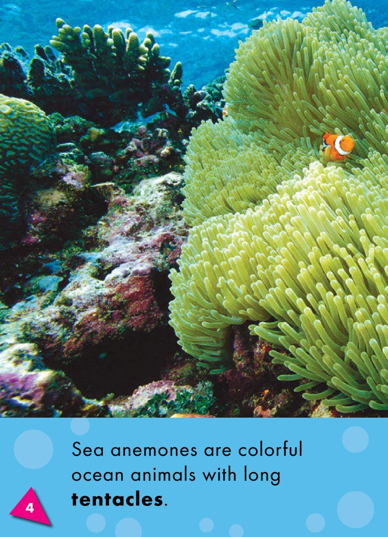 Sea Anemones: Oceans Alive — page 1