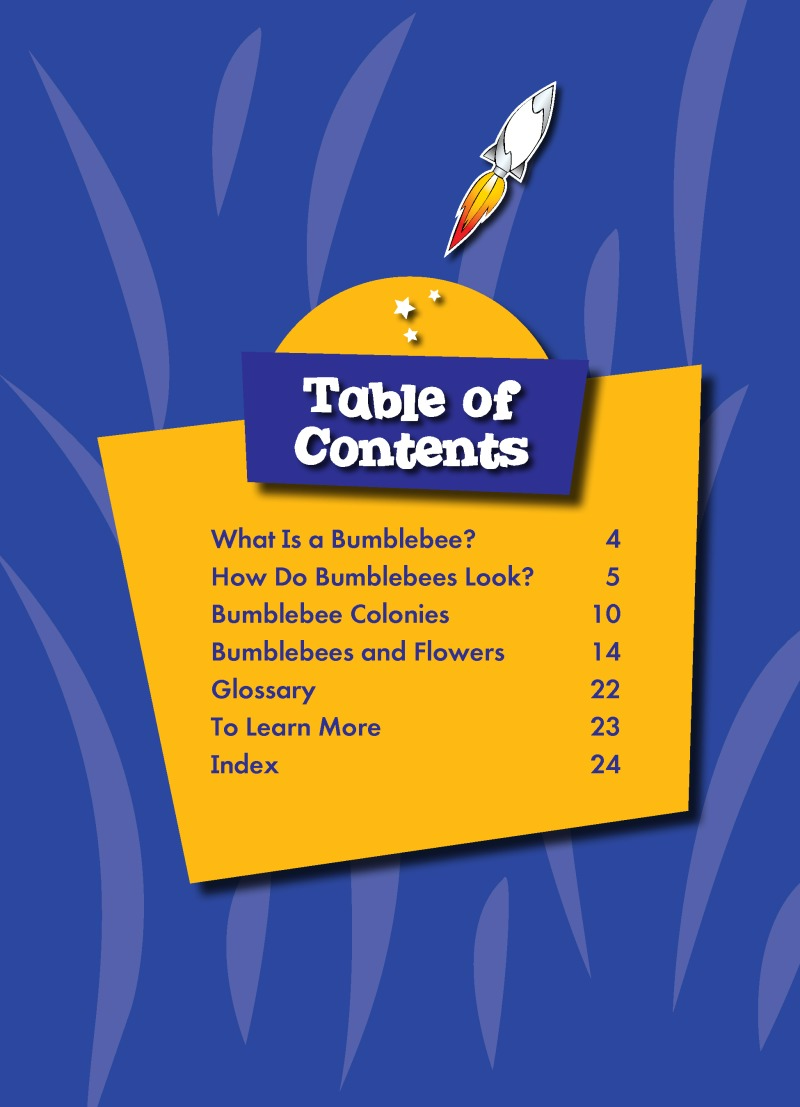World of Insects: Bumblebees book cover