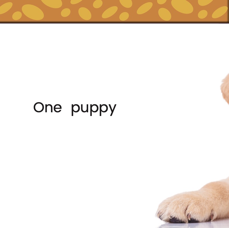 Counting Puppies — page 1