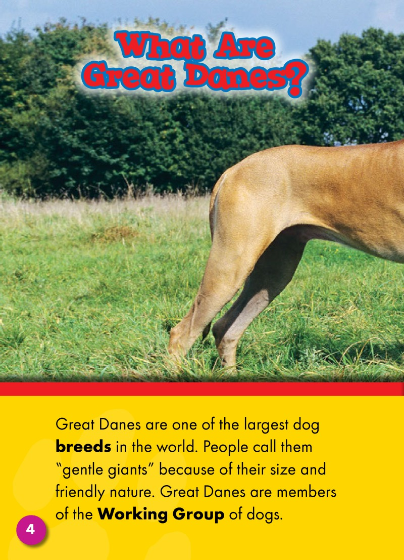 Great Danes: Dog Breeds — page 1