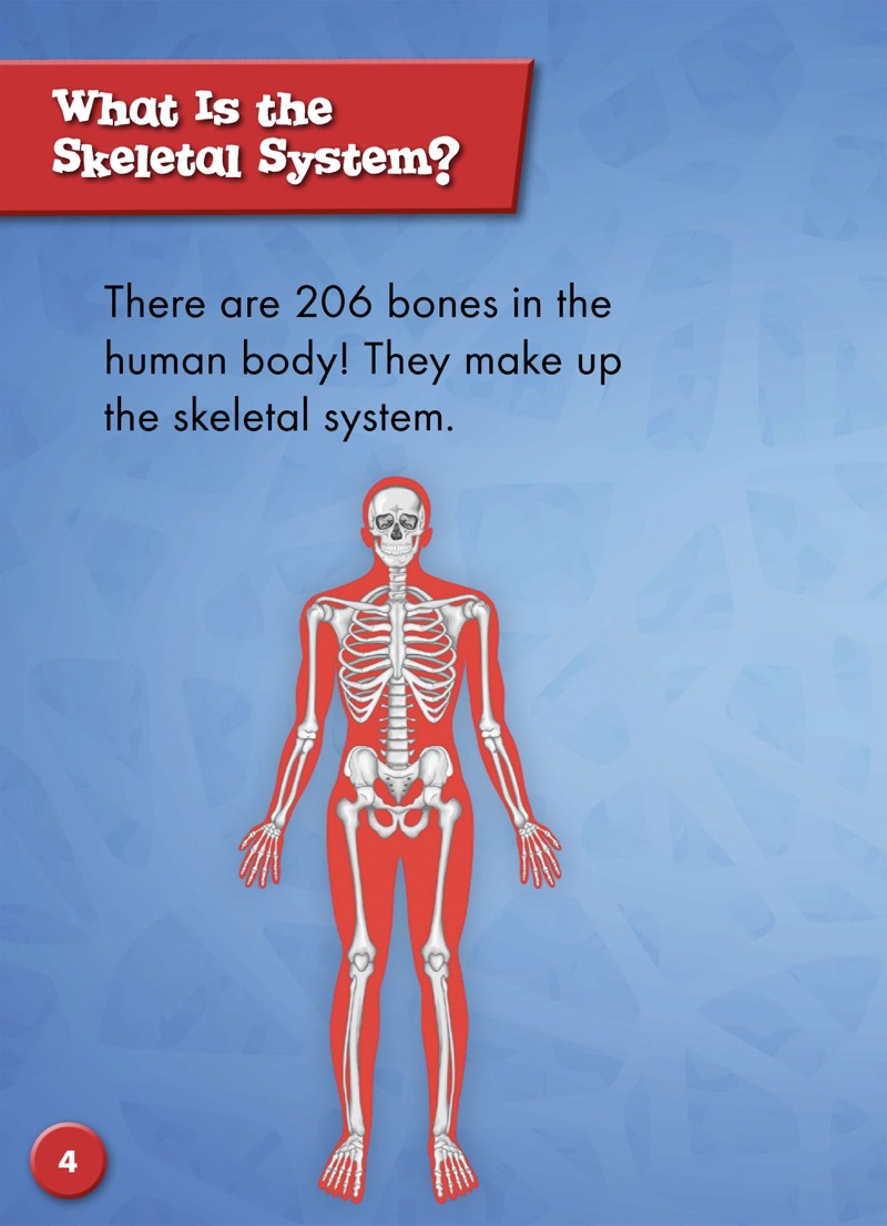 The Skeletal System — page 1