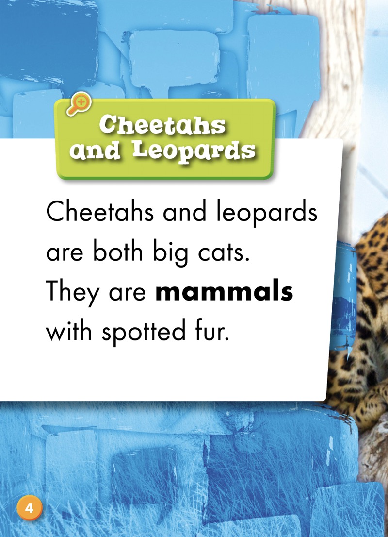 Cheetah or Leopard? — page 1