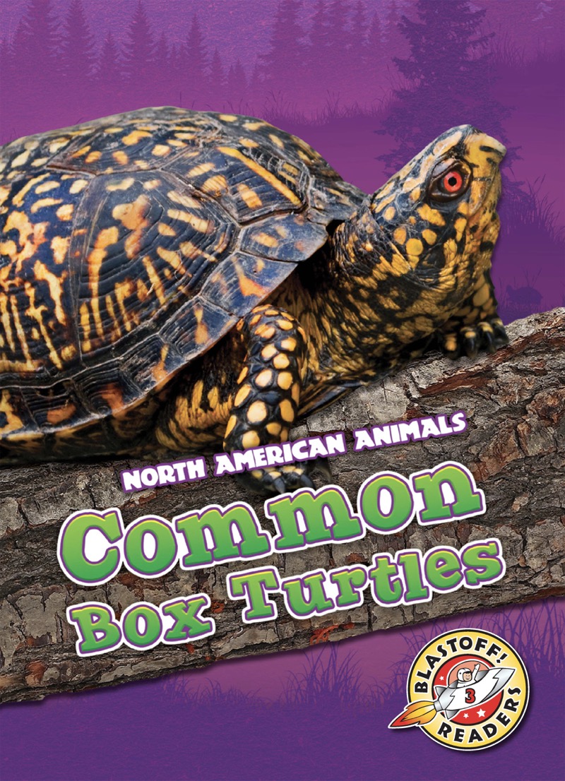 Common Box Turtles book cover