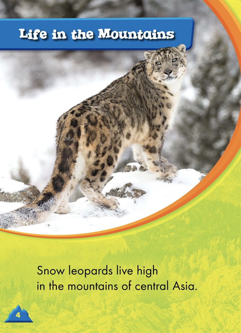 Snow Leopards — page 1