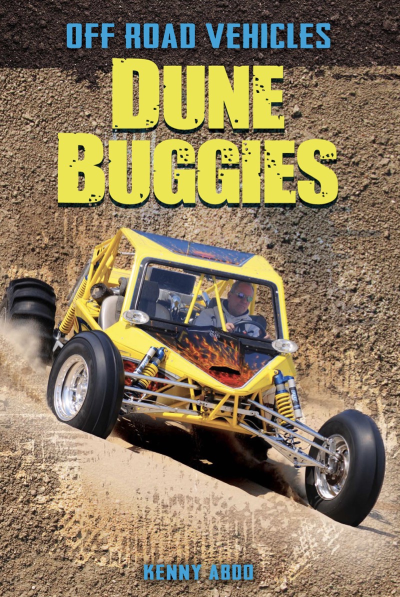 Dune Buggies book cover