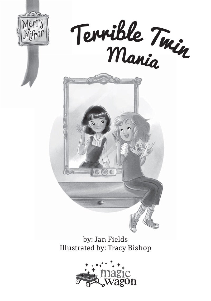 Terrible Twin Mania book cover