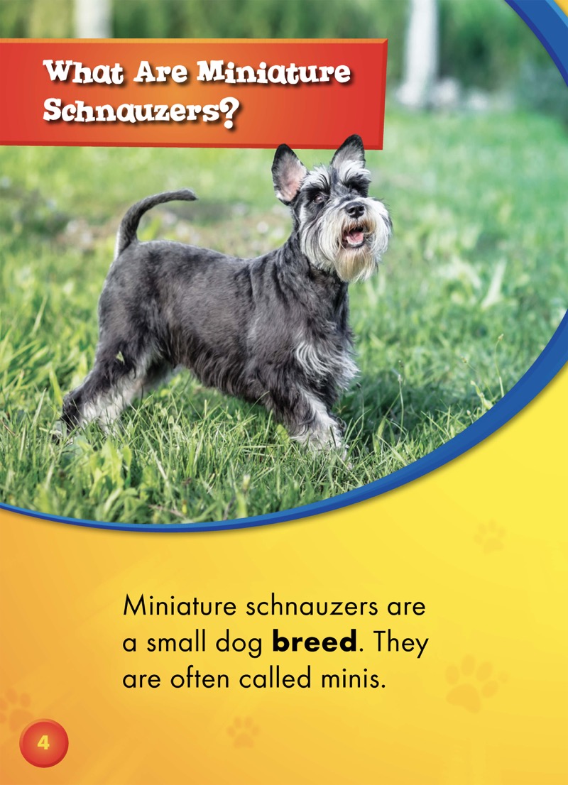 Awesome Dogs: Miniature Schnauzers — page 1
