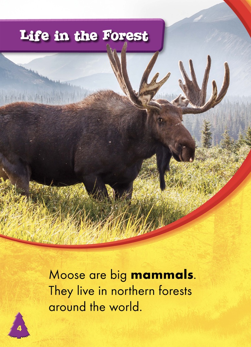Animals of the Forest: Moose — page 1