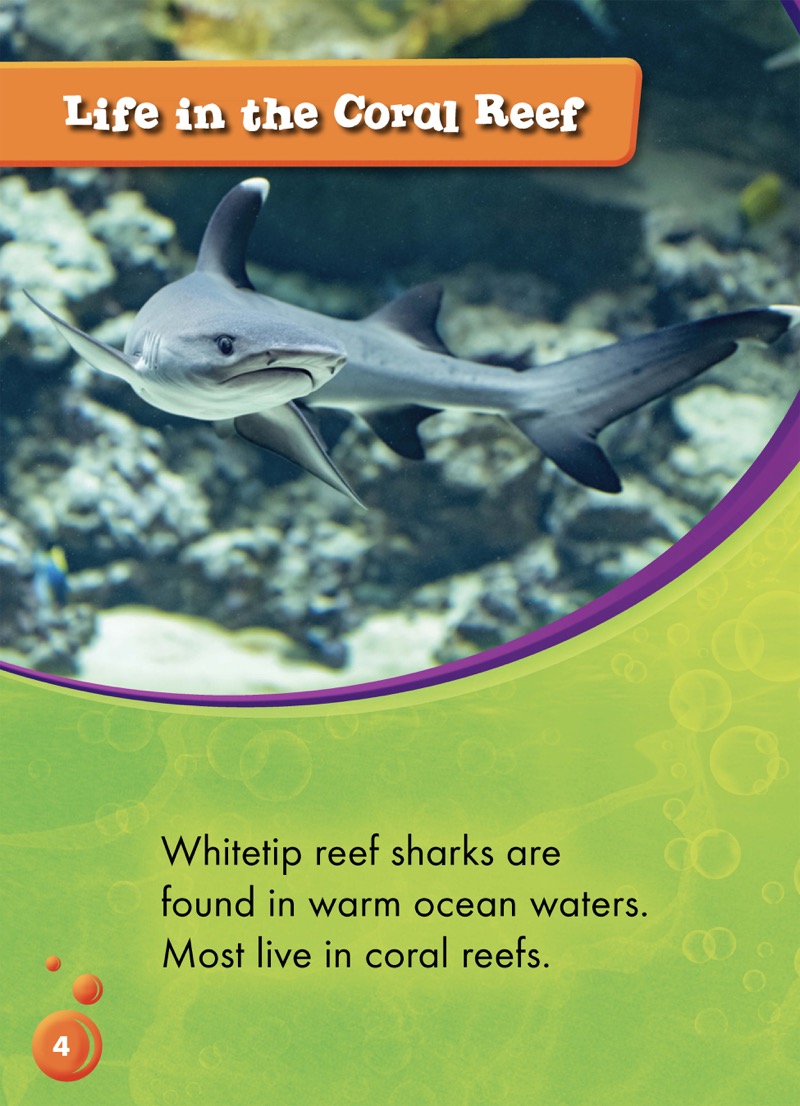 Animals of the Coral Reefs: Whitetip Reef Sharks — page 1