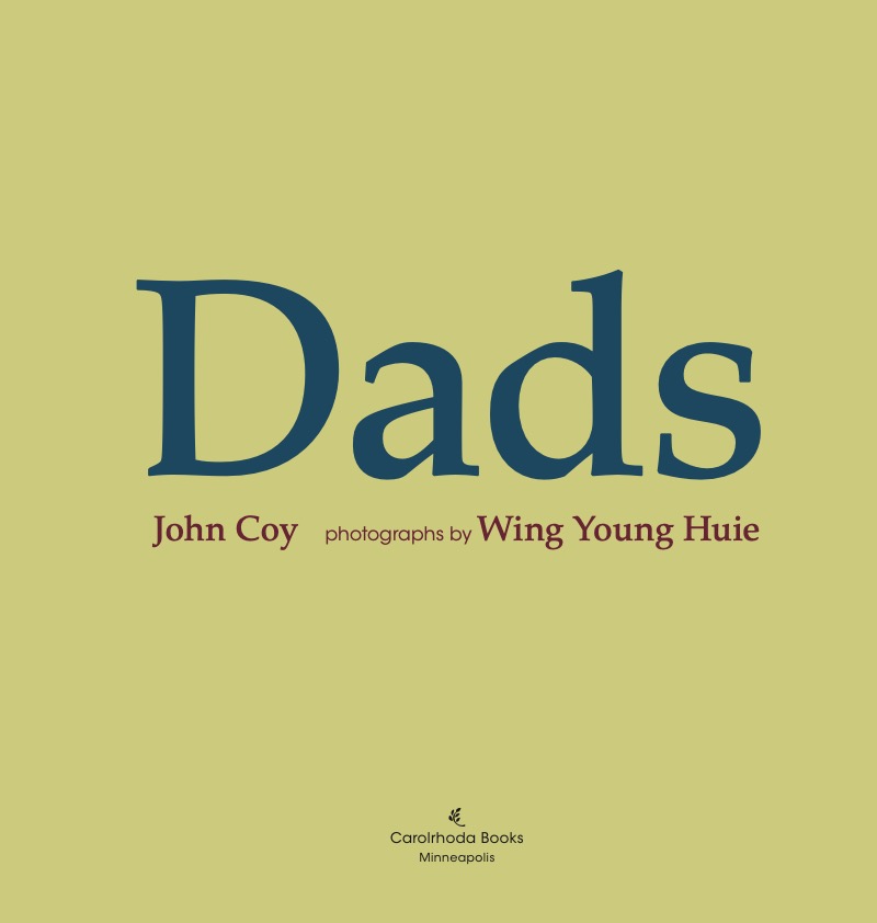 Dads book cover