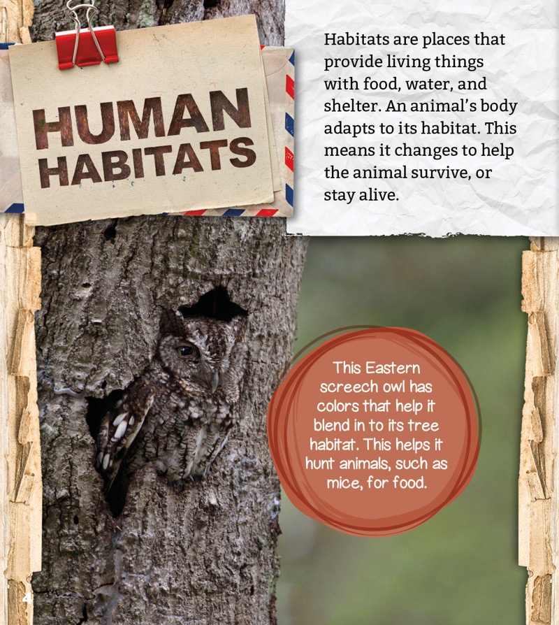 Human Habitats: Life in the Mountains — page 1