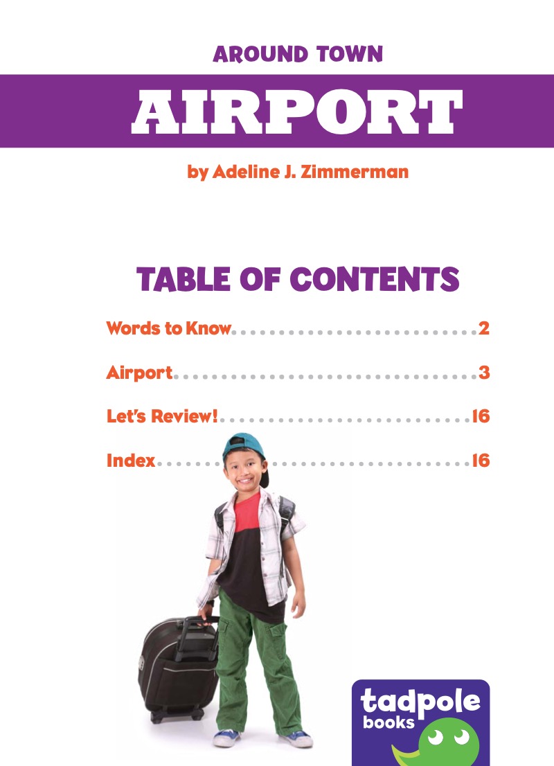 Around Town: Airport book cover