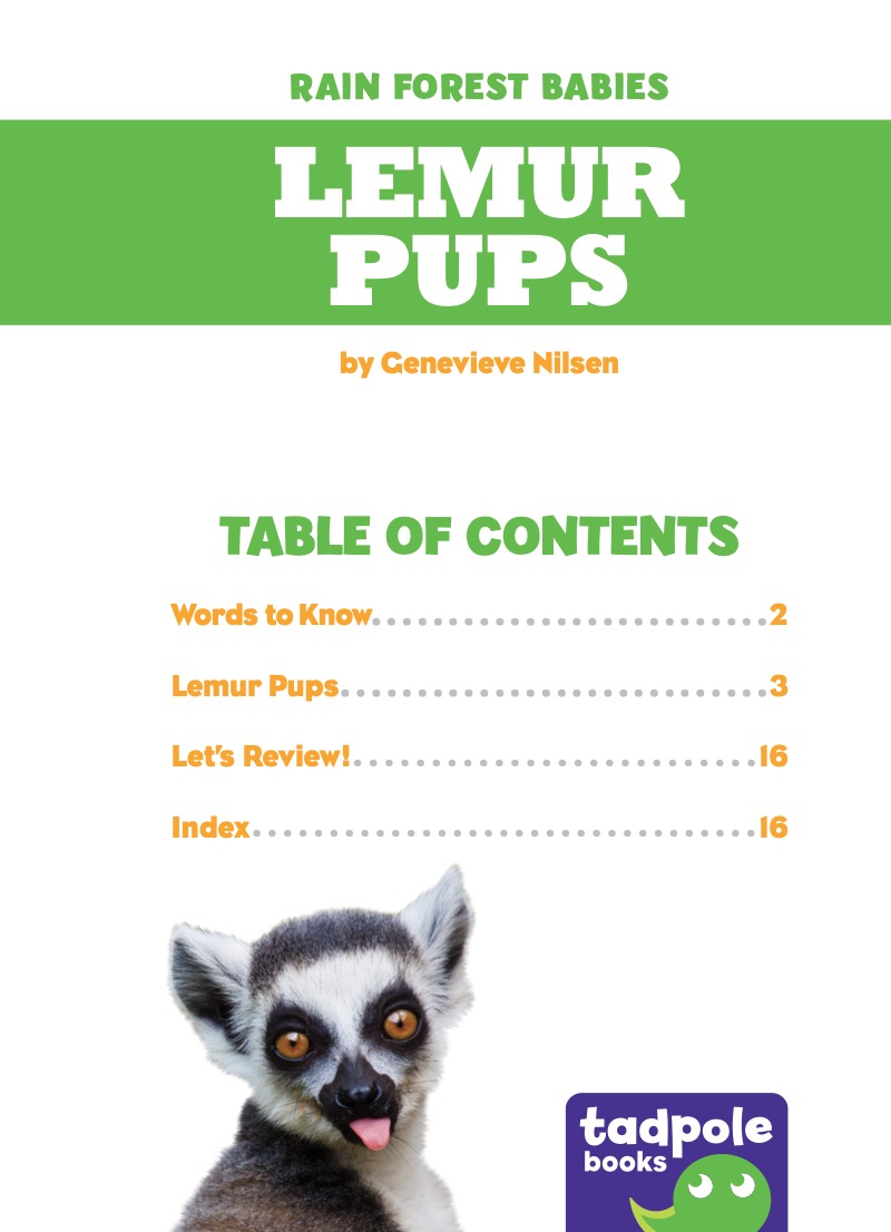Rain Forest Babies: Lemur Pups book cover