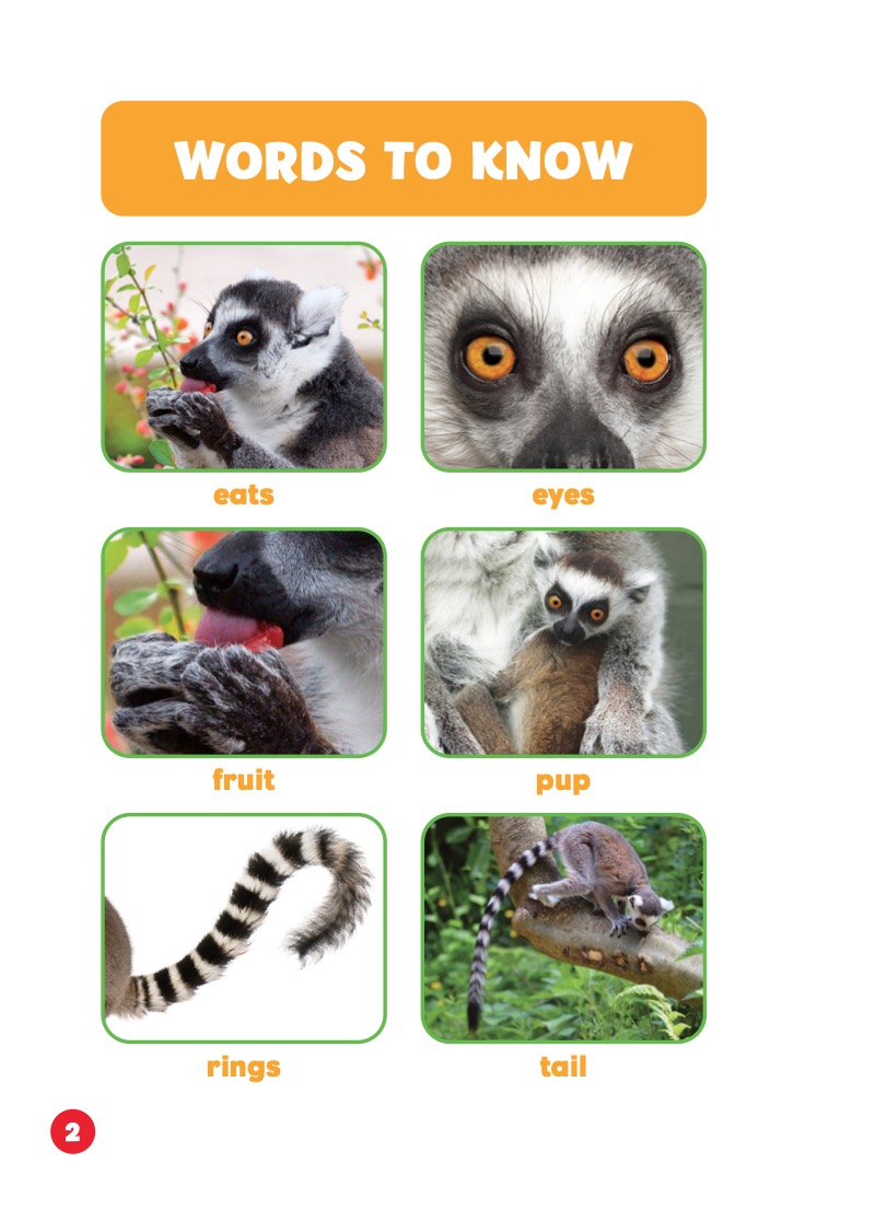 Rain Forest Babies: Lemur Pups — page 1