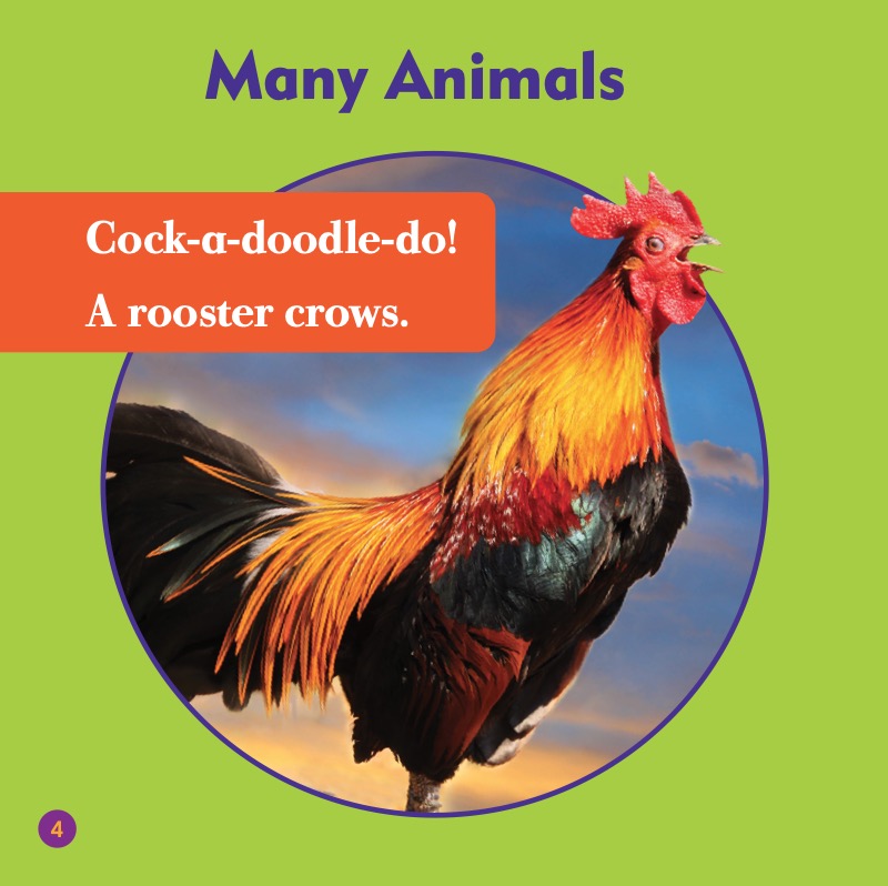 Farm Fun: Farm Animals — page 1