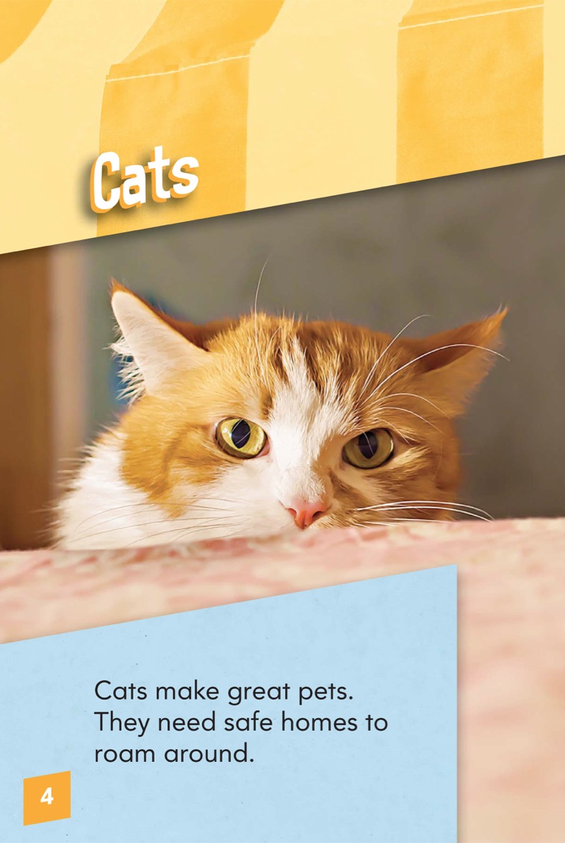 Pet Care: Cats — page 1