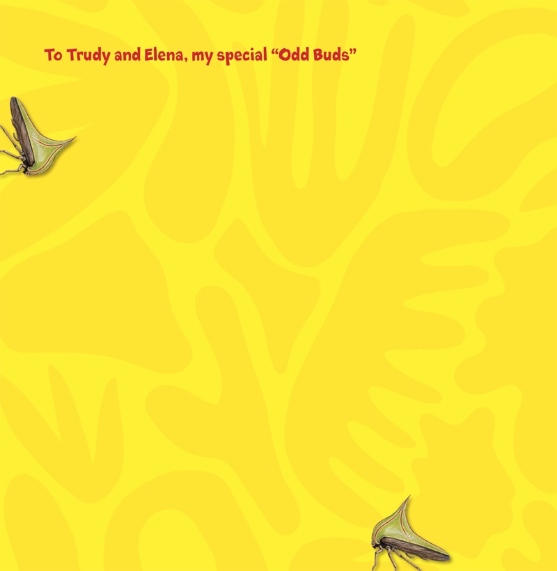 Odd Bods: The World's Unusual Animals book cover