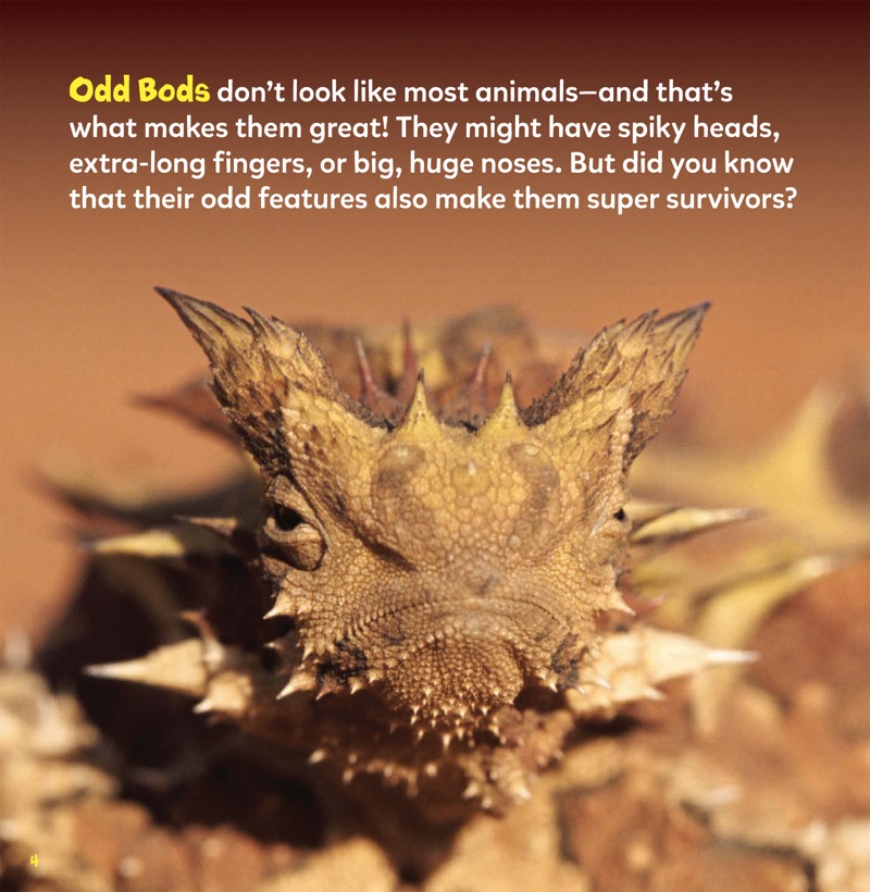 Odd Bods: The World's Unusual Animals — page 1