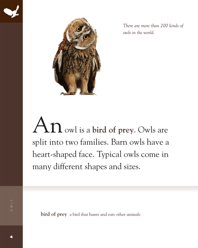 Amazing Animals: Owls — page 1