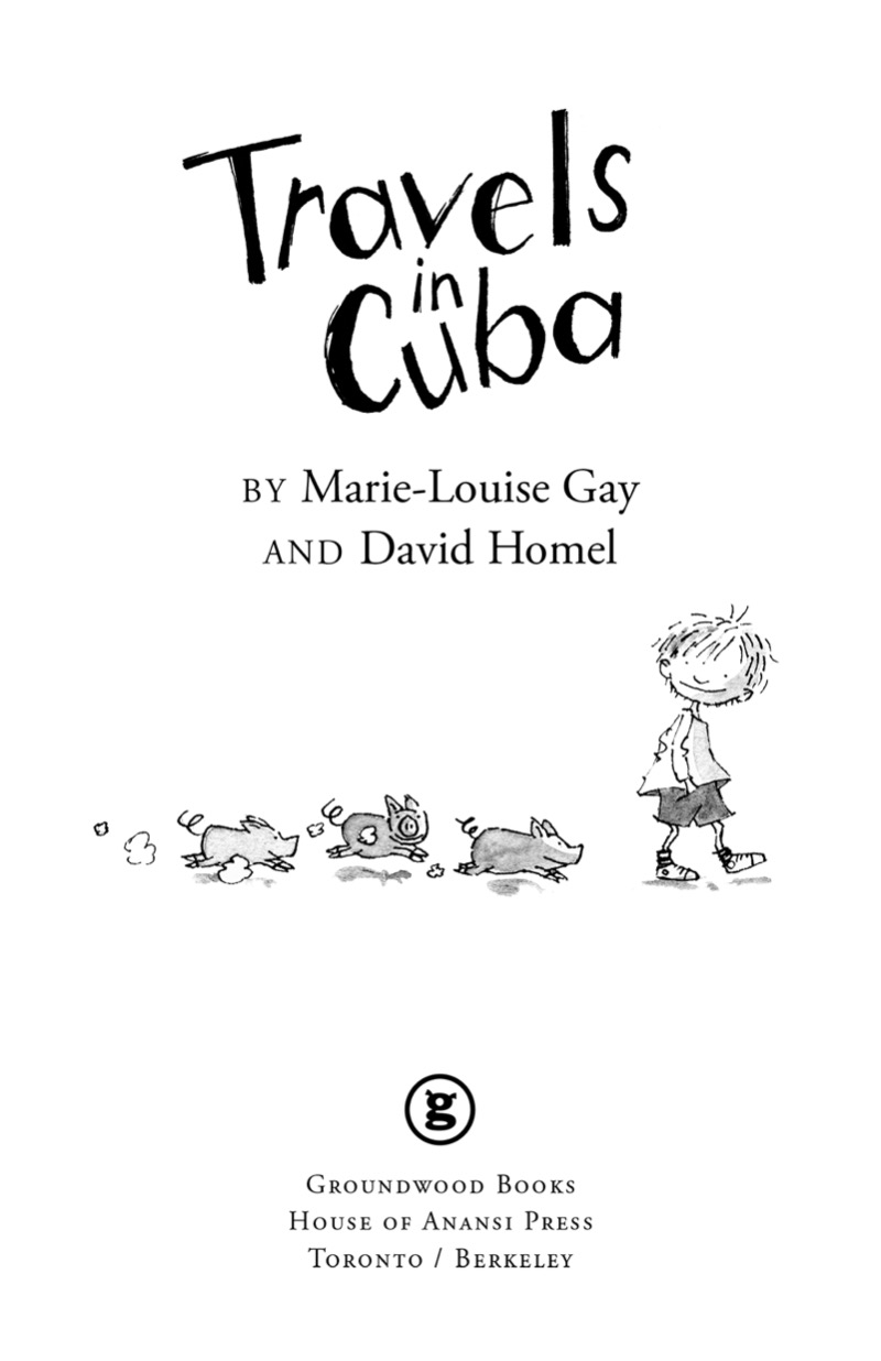 Travels in Cuba book cover
