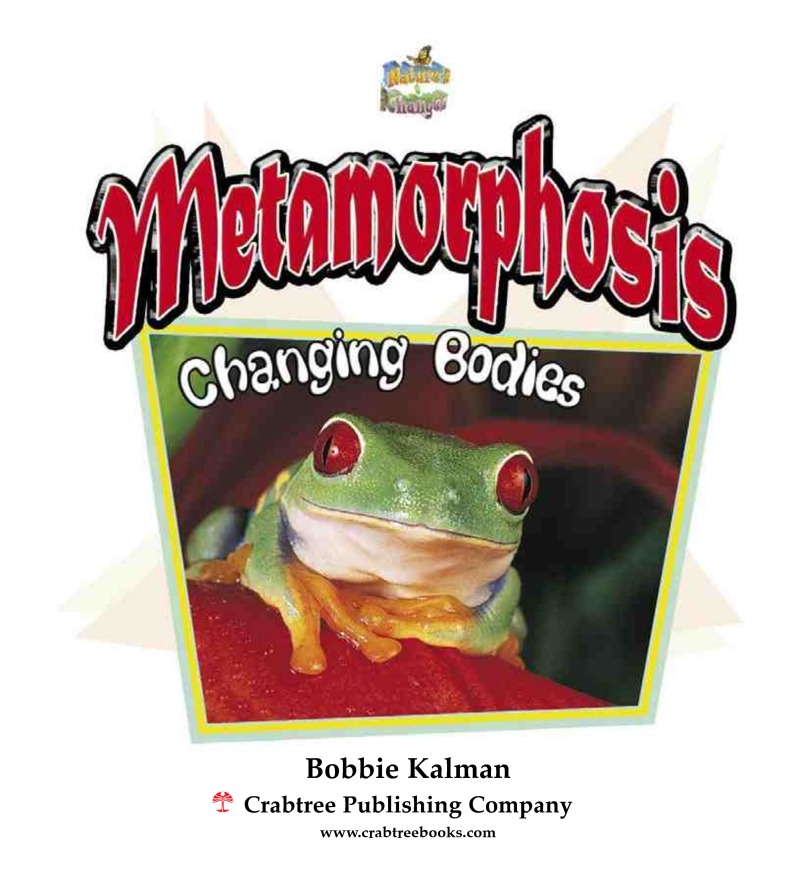 Metamorphosis: Changing Bodies book cover