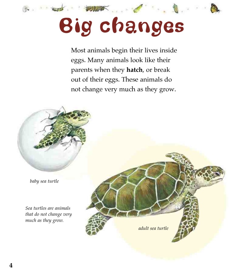 Metamorphosis: Changing Bodies — page 1