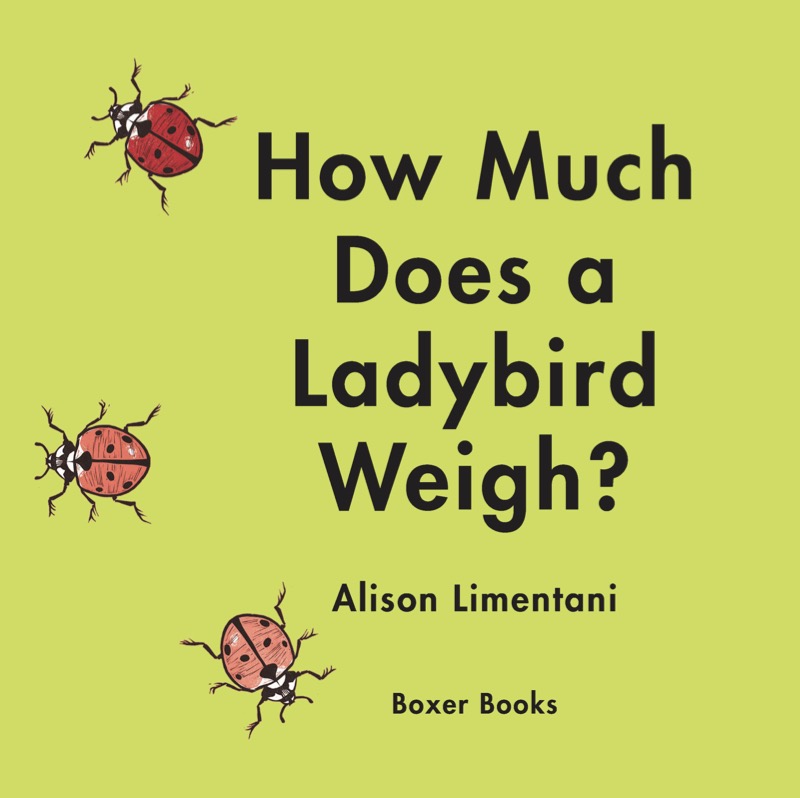 How Much Does a Ladybird Weigh? book cover