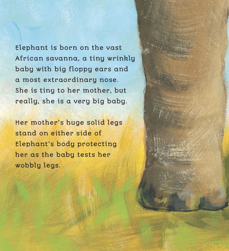 Elephant's Story — page 1