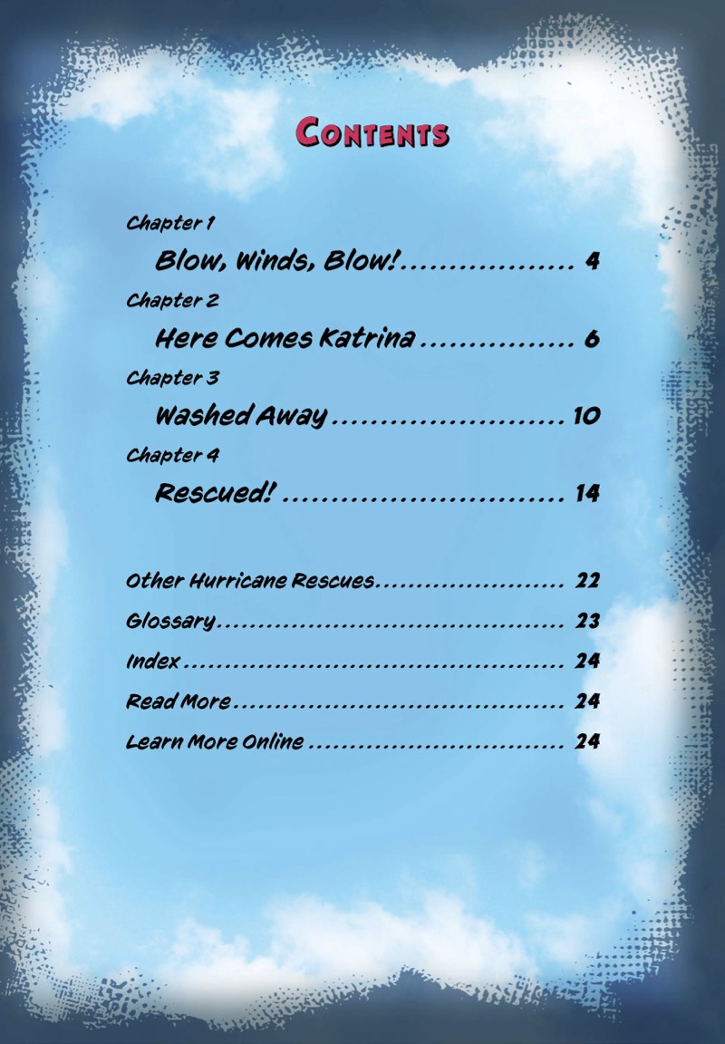 Vanished in the Hurricane: Dolphin Rescue! book cover