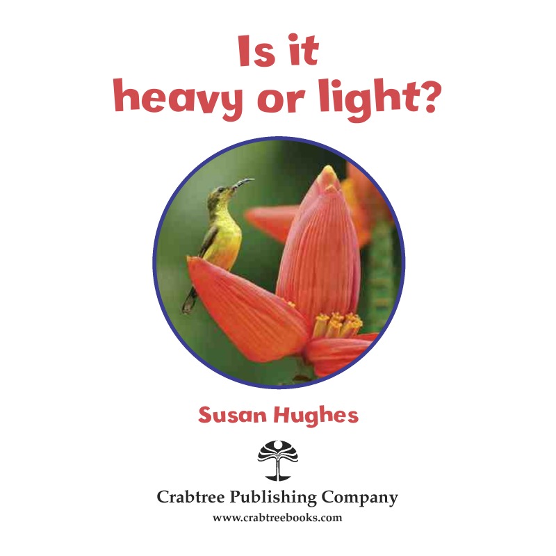 Is it Heavy or Light? book cover