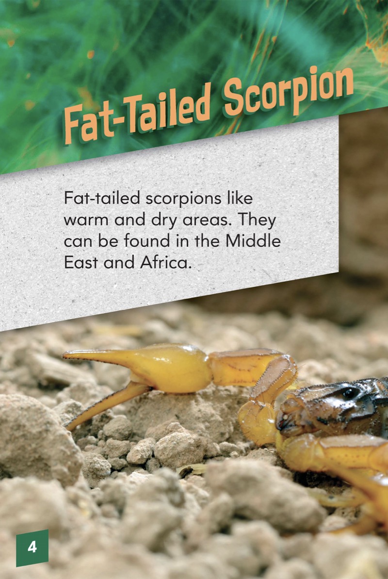 Animals with Venom: Fat-Tailed Scorpion — page 1