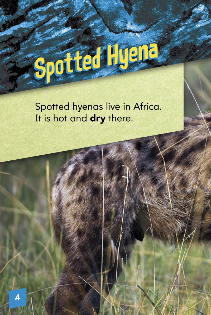 Animals with Bite: Spotted Hyena — page 1