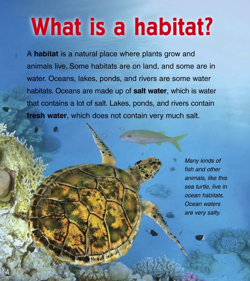 Baby Animals in Rivers — page 1